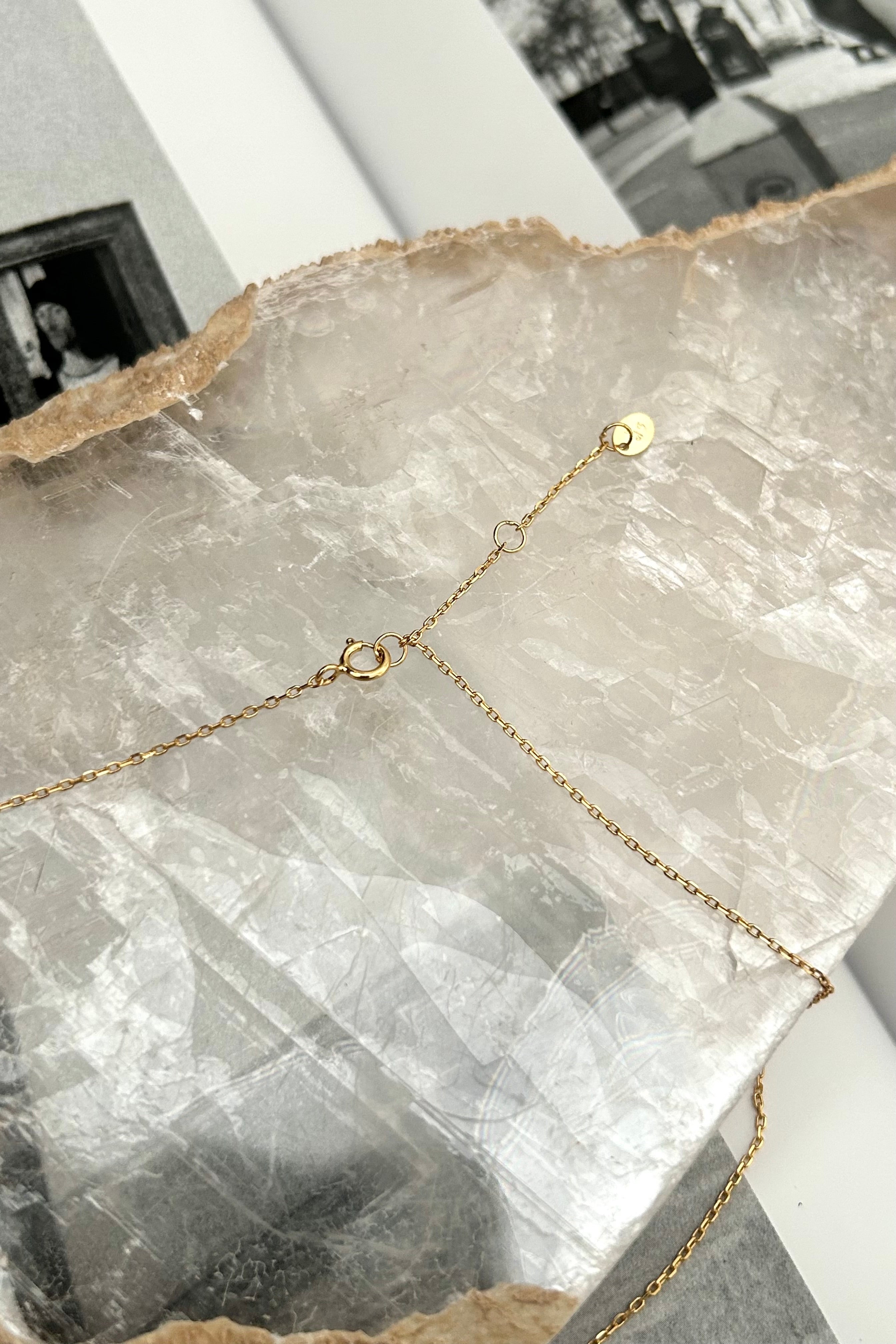 Become a star with this playful MOON + STAR NECKLACE! The gold plated over sterling silver design is tarnish resistant and hypoallergenic, letting you shine without worrying about pesky irritations. The charming moon and star detail adds a touch of celestial fun to any outfit.