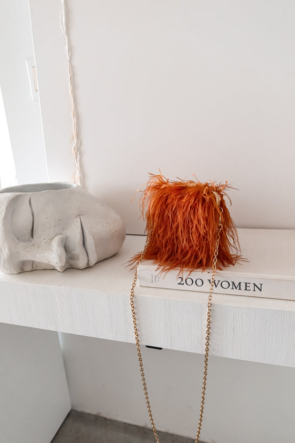 HOLLYWOOD FEATHERED BOX CLUTCH