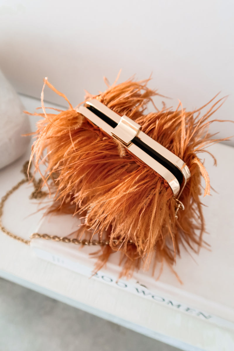 HOLLYWOOD FEATHERED BOX CLUTCH