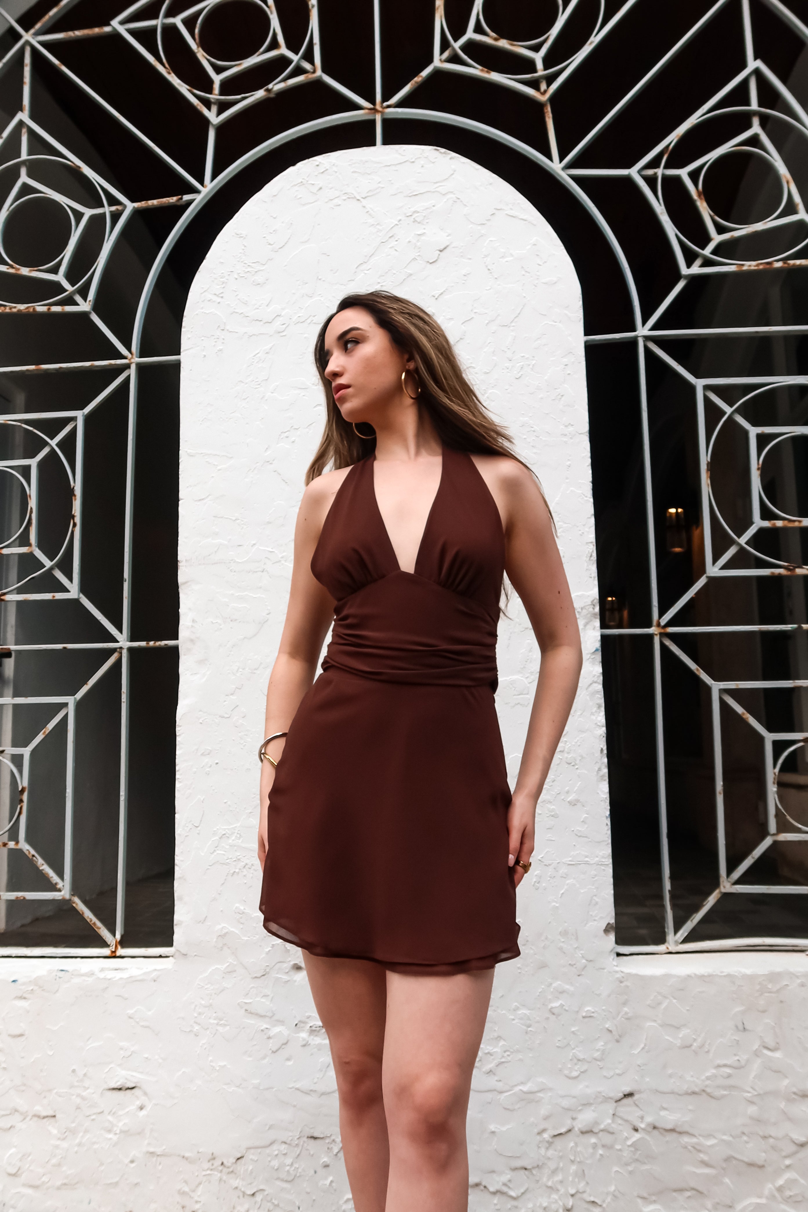 HIGH STANDARDS CHIFFON - BROWN