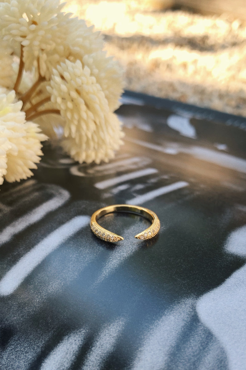 PAVE CLAW RING